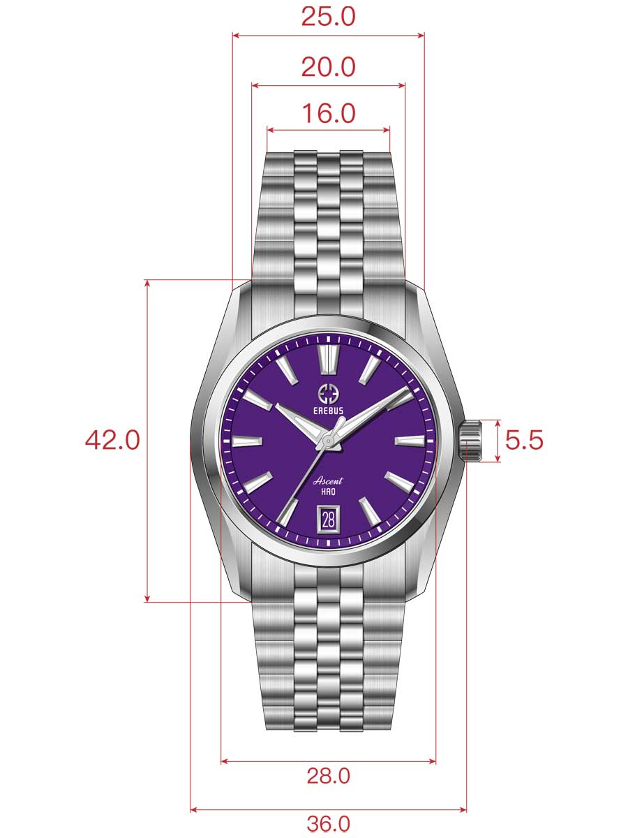 ASCENT HAQ 36 Purple Enamel – EREBUS WATCH